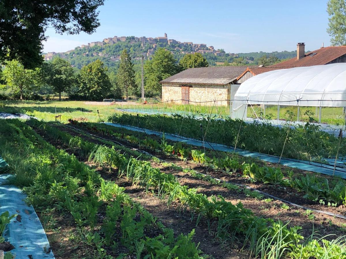 Gîte à la Ferme de Verdurette Cordes-sur-Ciel Exterior foto